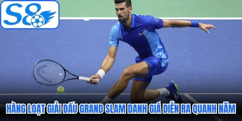 Hàng loạt giải đấu Grand Slam danh giá diễn ra quanh năm