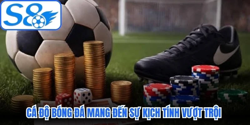 Cá độ bóng đá mang đến sự kịch tính vượt trội cho người hâm mộ