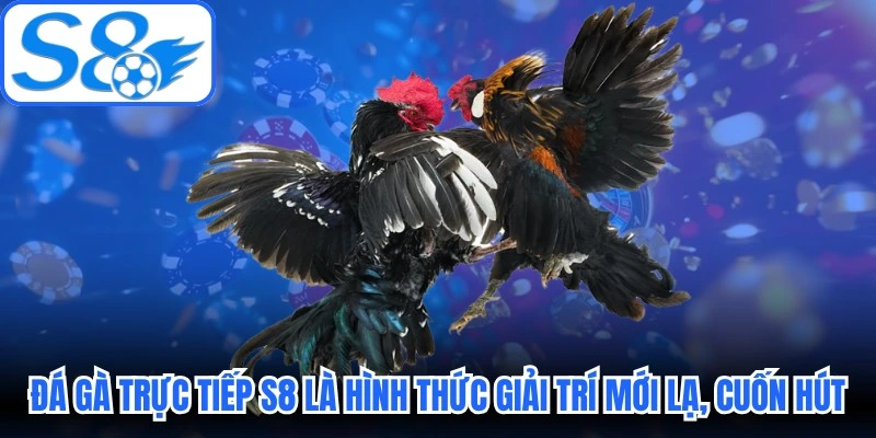 Đá gà trực tiếp S8 là hình thức giải trí mới lạ, đầy cuốn hút