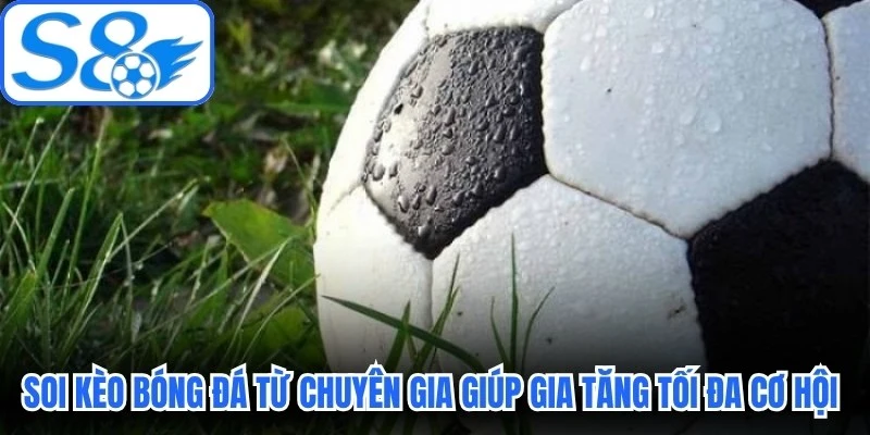 Soi kèo bóng đá từ chuyên gia giúp gia tăng tối đa cơ hội thắng