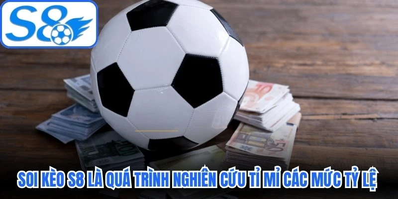 Soi kèo S8 là quá trình nghiên cứu tỉ mỉ các mức tỷ lệ cược